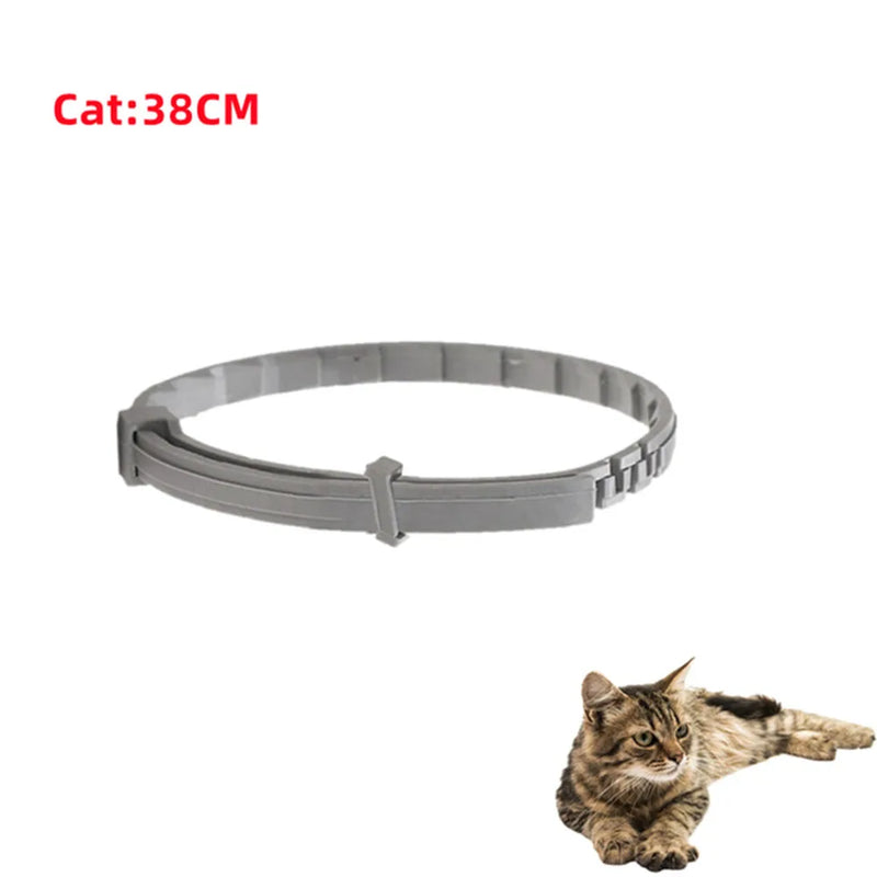 Coleira Antipulgas e Carrapatos para Cães e Gatos